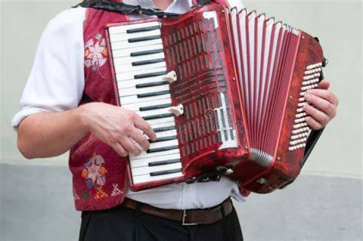 Accordion Player