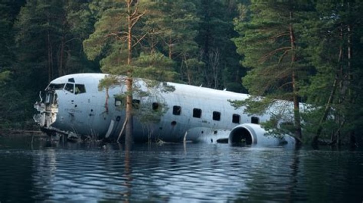 Airplane Survival Stories