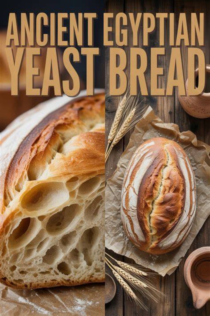 Ancient Egyptian Yeast
