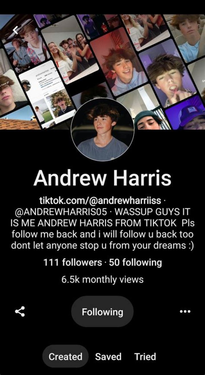 Andrew Harris Tiktok earnings