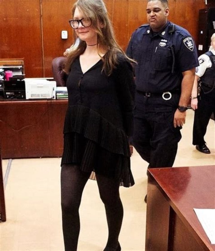 Anna Delvey Career, Fraud Offenses, Documentary, Story & Profession