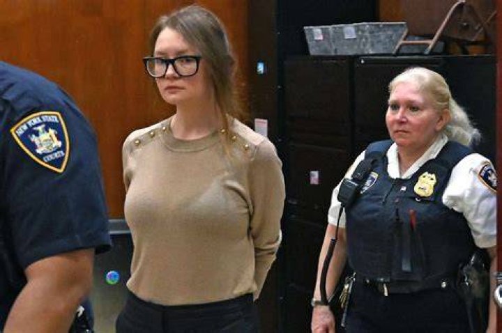 Anna Delvey Father, Mother's Name, Siblings, Parents & More
