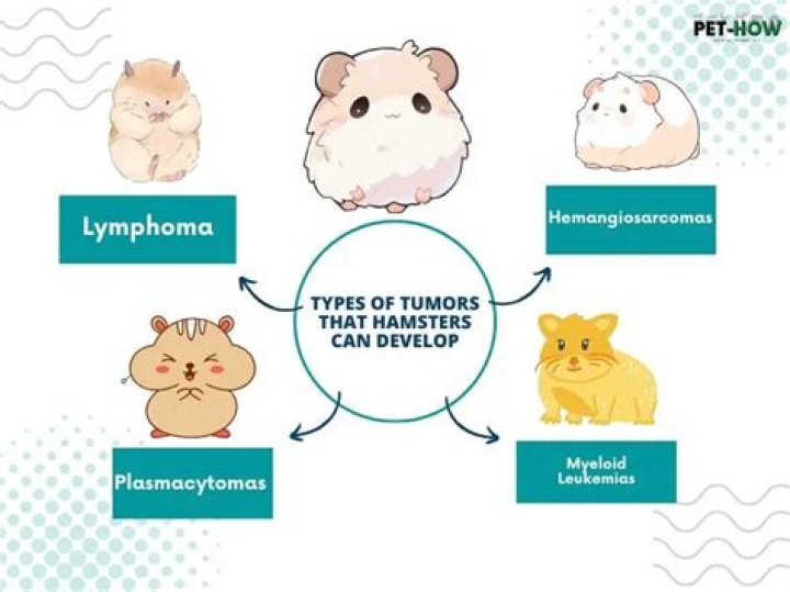 Are tumors common in hamsters