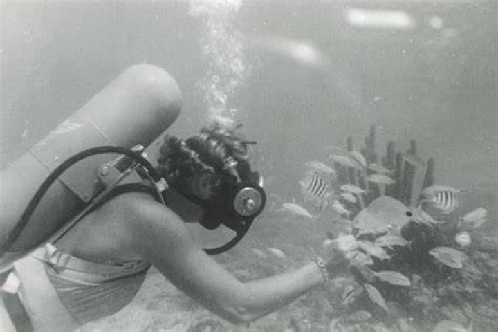 Athena Perample did Scuba Diving
