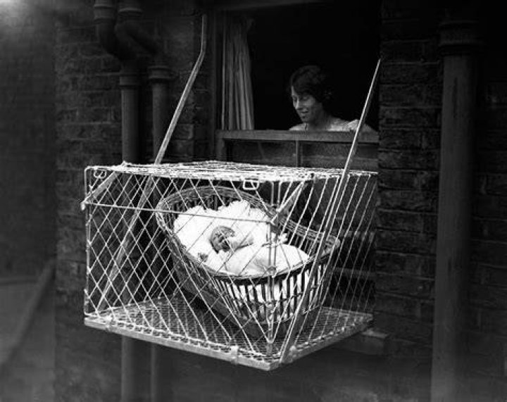 Baby Cages