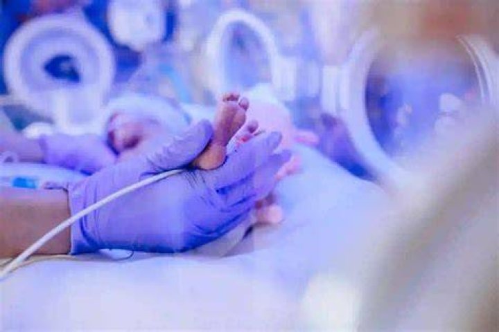 Baby In Nicu