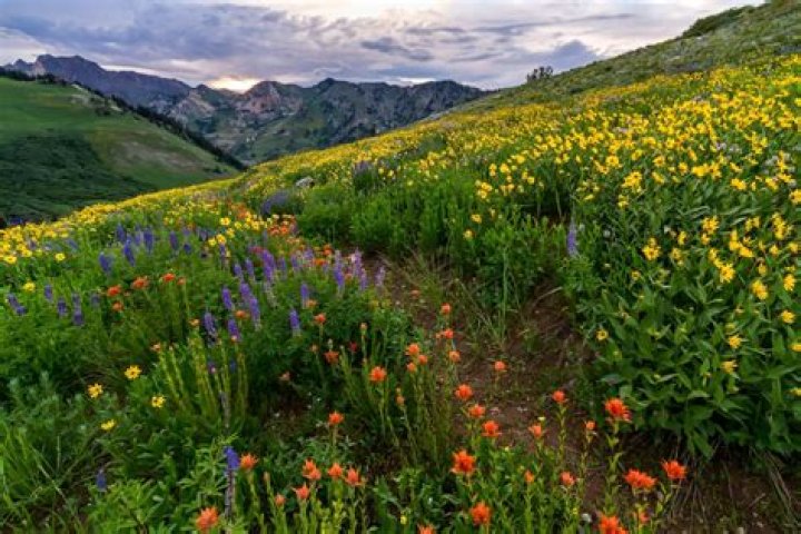 Best Nature Photography of 2015