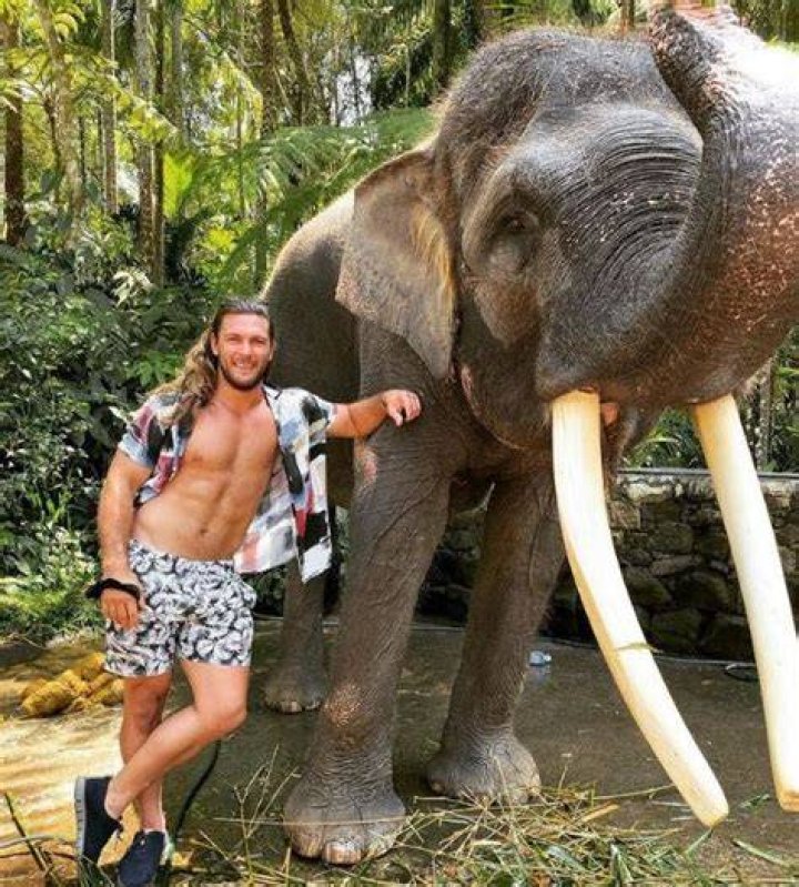 Brock Davies loves animals