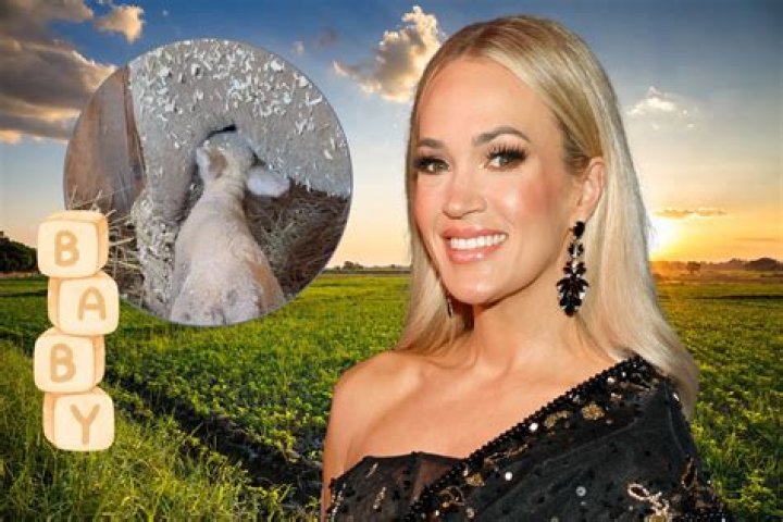 Carrie underwood baby announcement