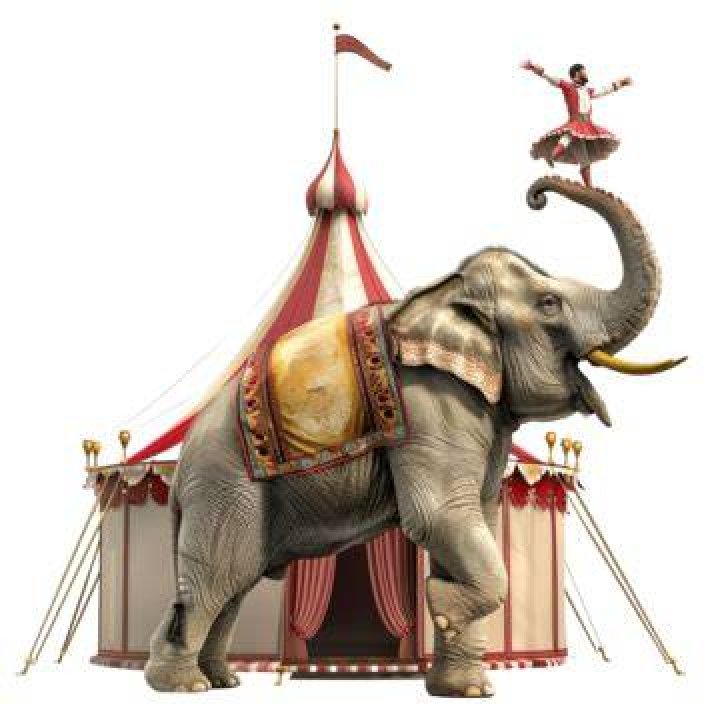 classic circus elephant rider