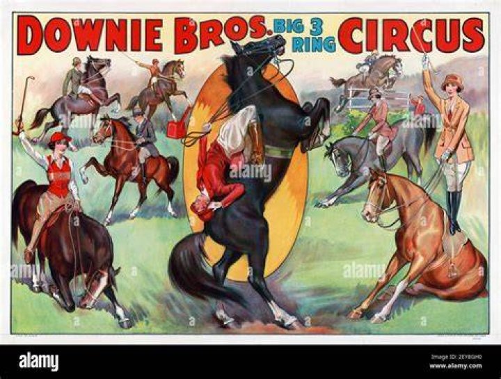 classic circus horse dancer