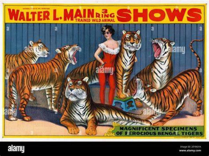 classic circus tiger tamer