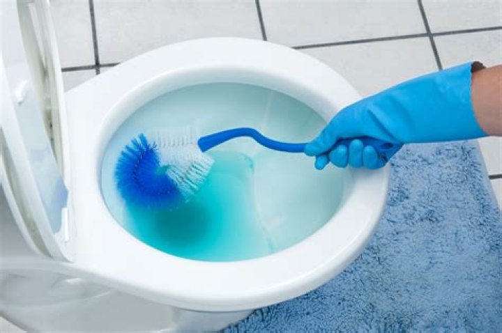 Cleaning A Toilet