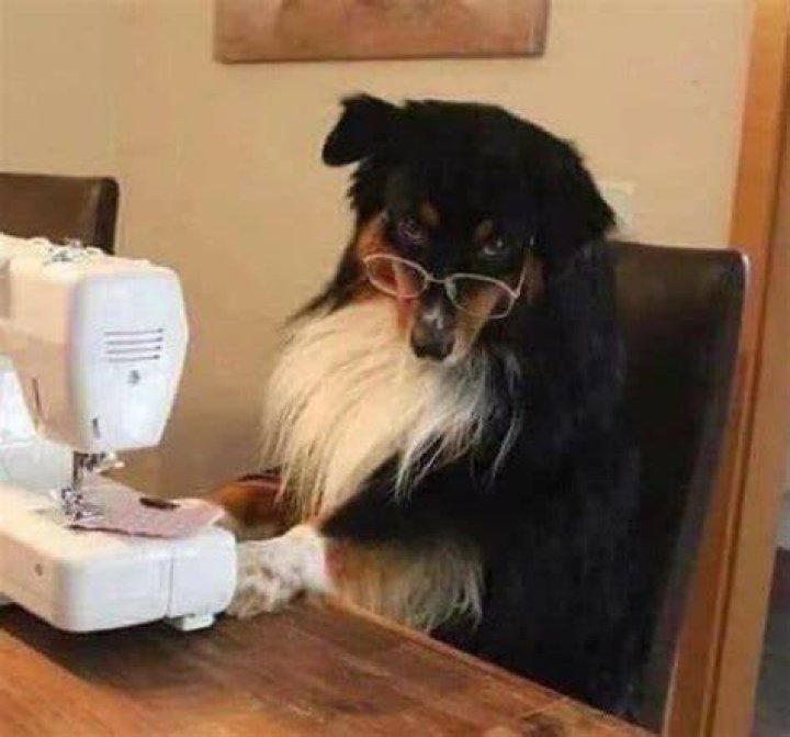 Dog Sewing Machine Design