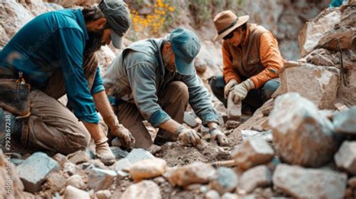 Excavation Team