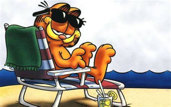 Garfield Face On Beach
