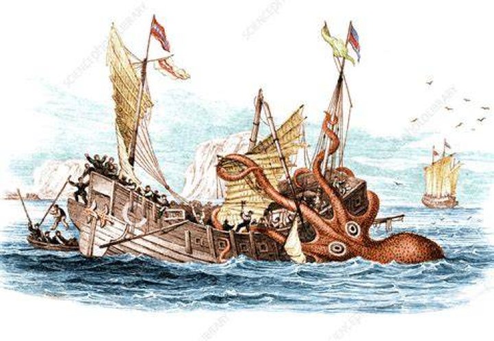 Giant Squid Attacking A Ship
