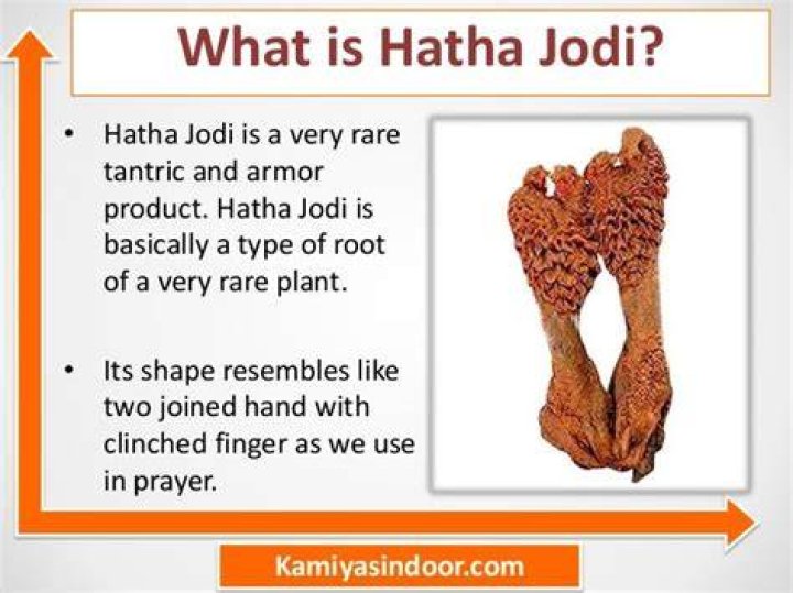 Hatha Jodi