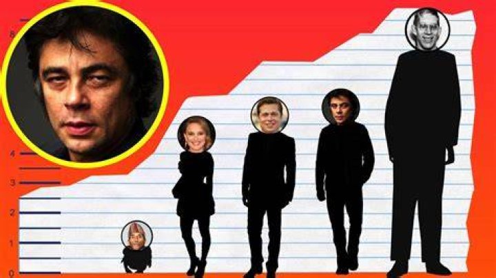 How tall is Benicio Del Toro