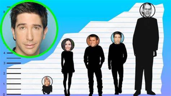 How tall is David Schwimmer