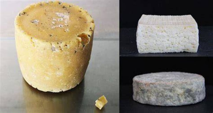 Human Cheese Wheels