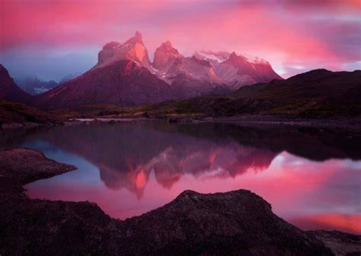 Incredible Nature Photography