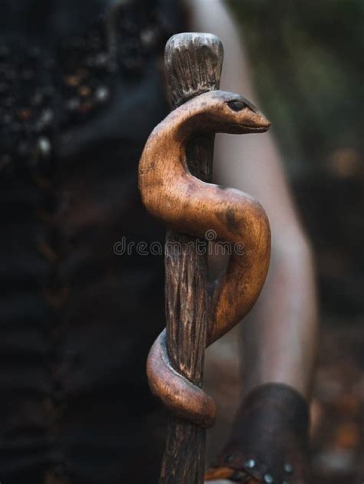 Järvensuo Snake Staff Being Photographed