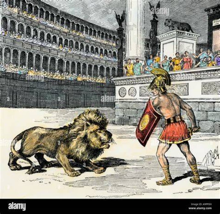 Lion Performs As A Gladiator