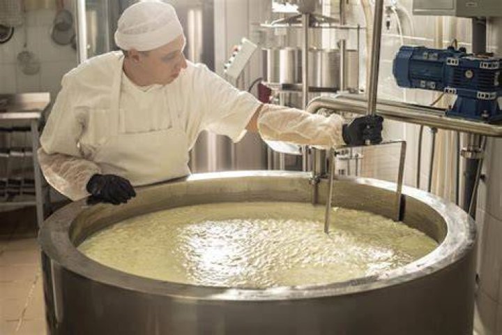 Man Making Cheese