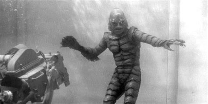 Man The Creature