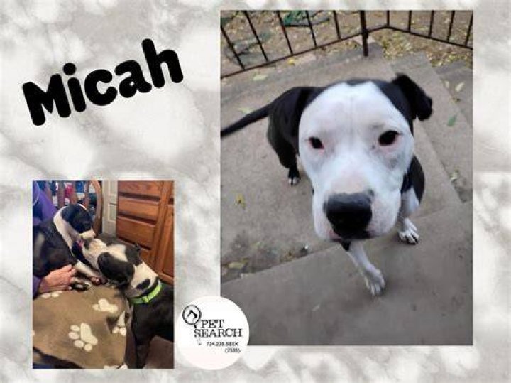 Micah with his pet dog