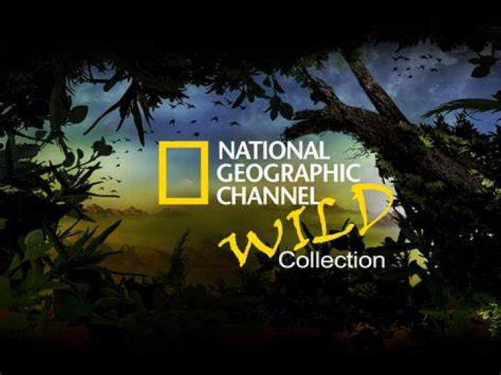 Nat Geo 2016 3