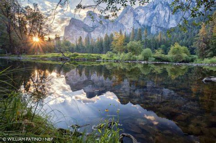 Nature Photography 2014