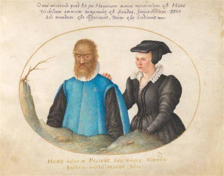 Petrus Gonsalvus Portrait