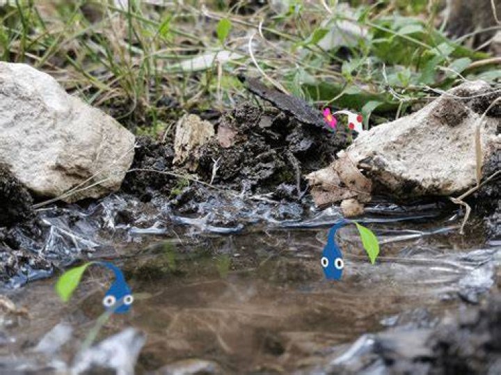 Pikmin Pond