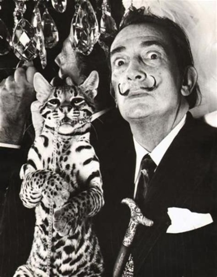 Salvador Dali And Cat