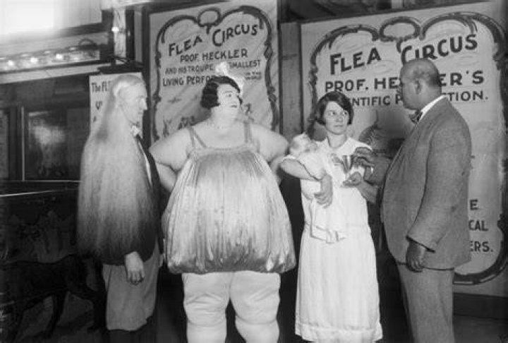 Sideshow Freaks