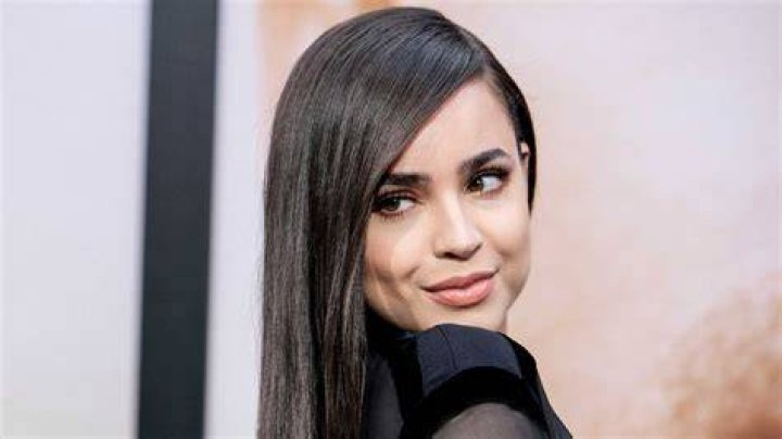 Sofia Carson in Feel the Beat