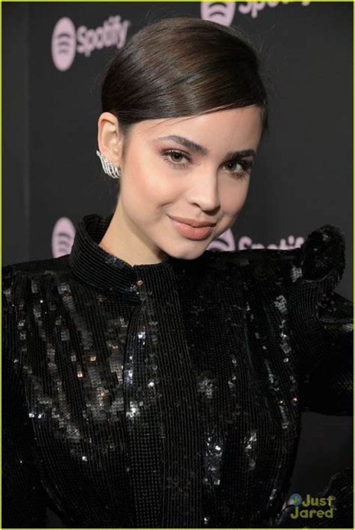 Sofia Carson Spotify BillBoard in Times Square
