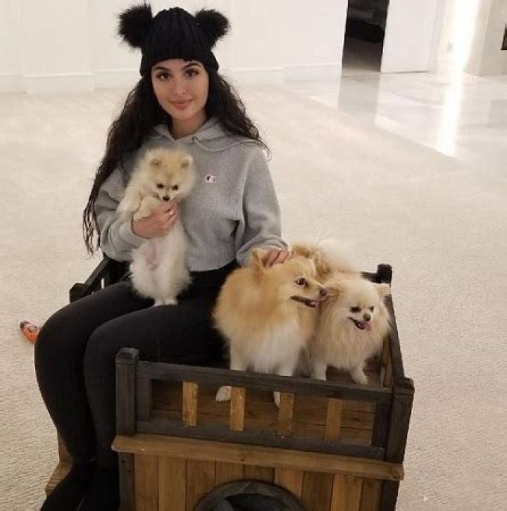 SSSniperWolf with her pet dogs