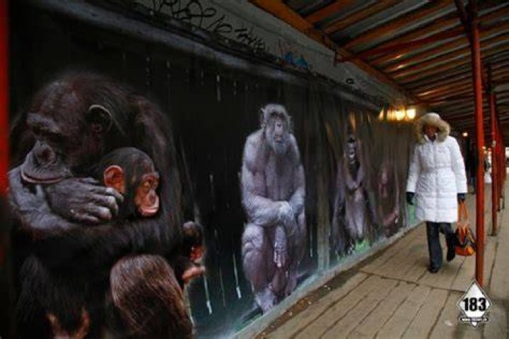 Street Artists Pavel Apes