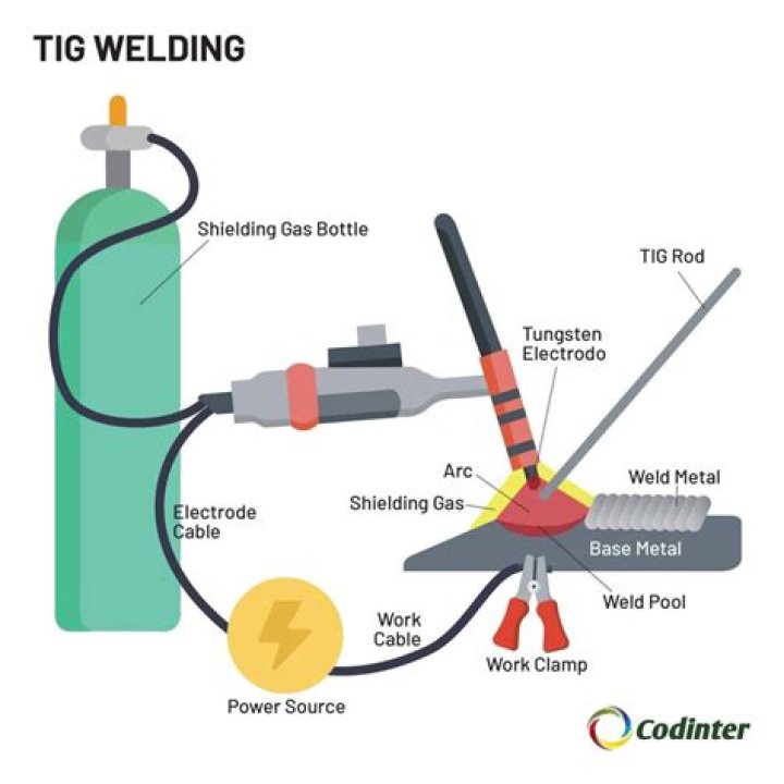 the tig the tig