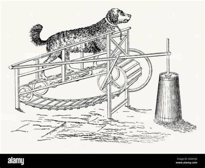 Turnspit Dog Machines Powered Walking