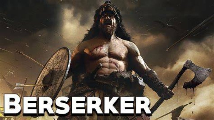 Viking Facts Beserkers