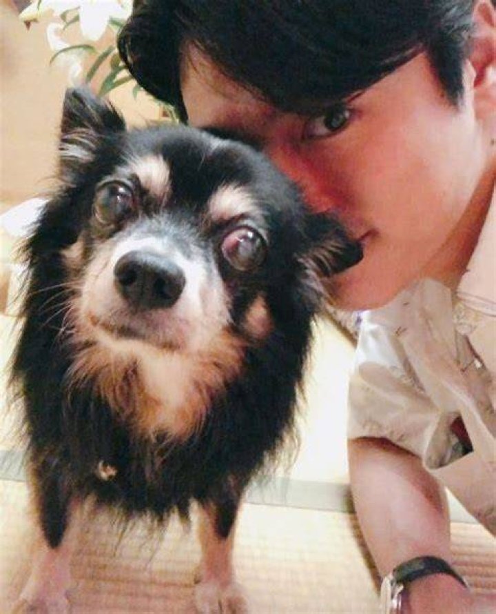 Yoshihiko Arima has a pet dog